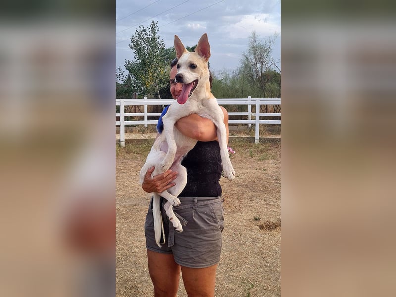 Asana – pure Lebensfreude auf vier Pfoten