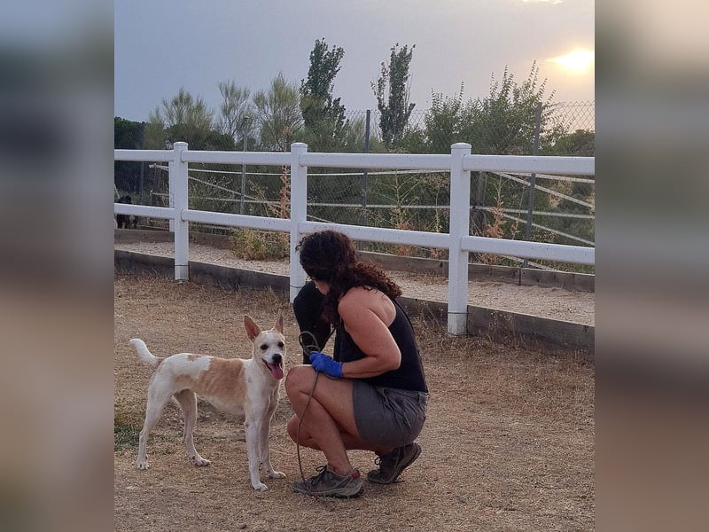 Asana – pure Lebensfreude auf vier Pfoten