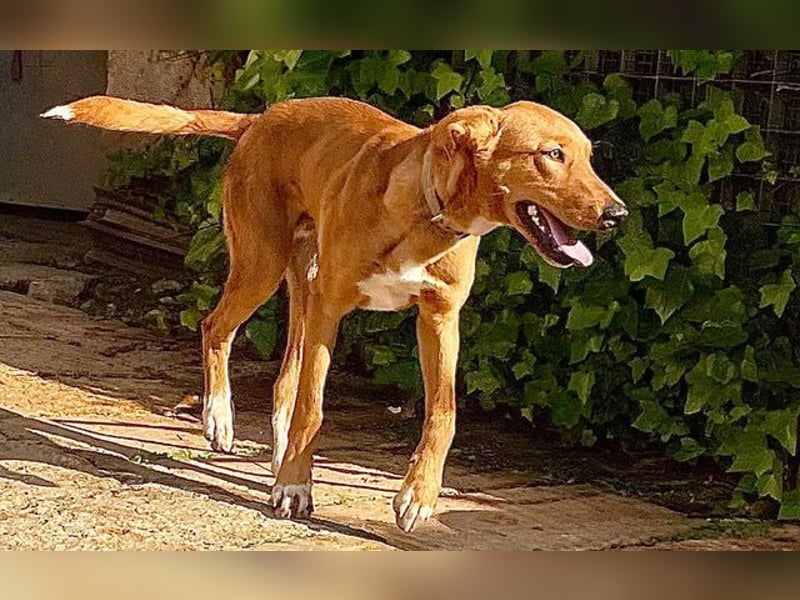 Mojo erobert sofort die Herzen