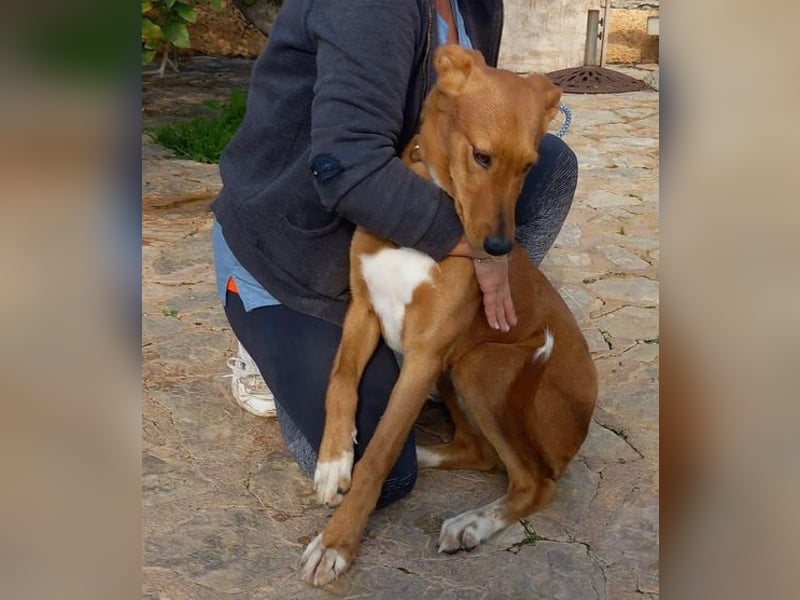 Mojo erobert sofort die Herzen