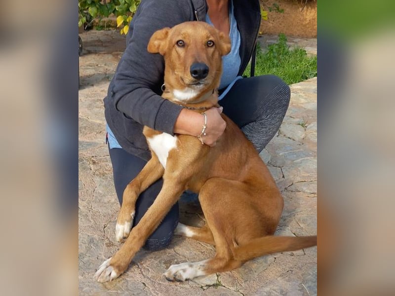 Mojo erobert sofort die Herzen