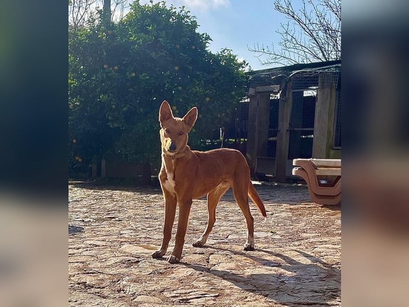 Mojo erobert sofort die Herzen