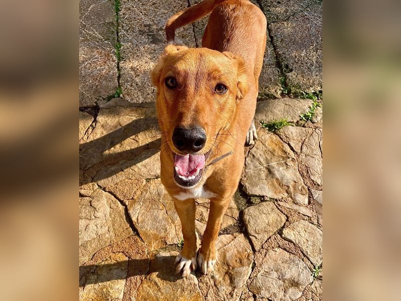 Mojo erobert sofort die Herzen