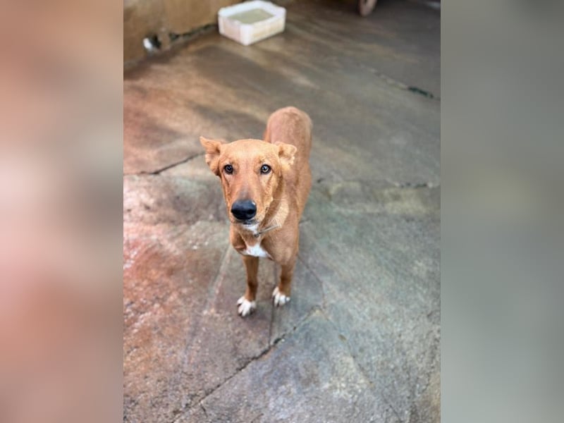 Mojo erobert sofort die Herzen