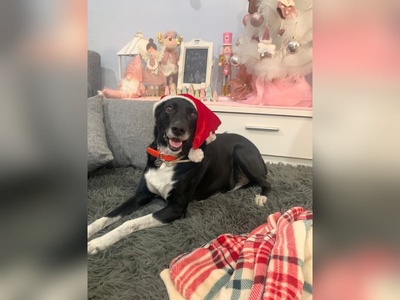 KIKO ist einfach perfekt