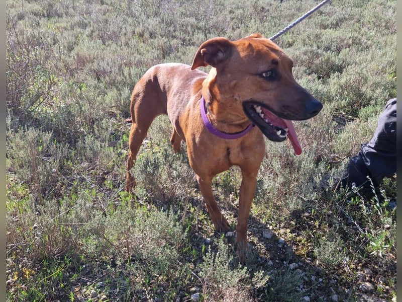 EMINA ist intelligent und lernwillig