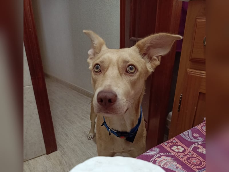 TEYA will gefördert werden