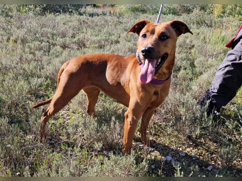 EMINA ist intelligent und lernwillig