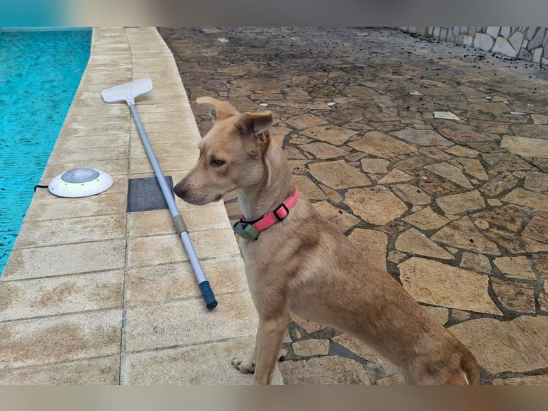 TEYA will gefördert werden