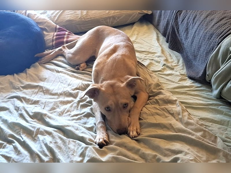 TEYA will gefördert werden