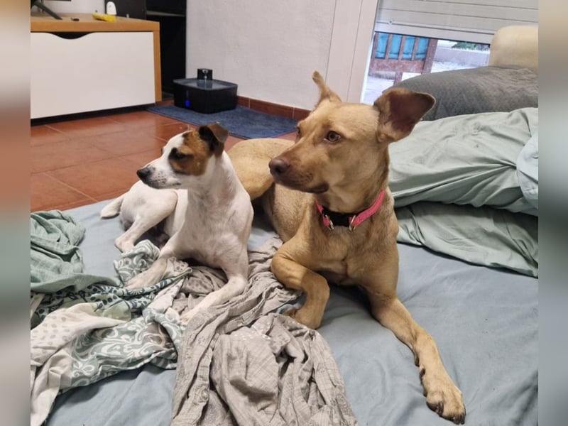 SHARIE sucht einfühlsame, geduldige Menschen