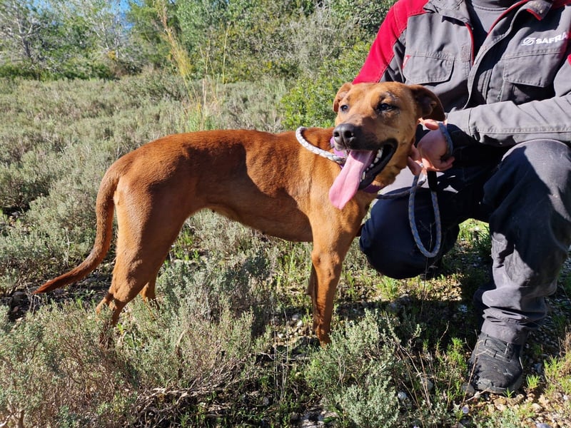 EMINA ist intelligent und lernwillig