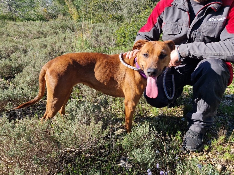 EMINA ist intelligent und lernwillig