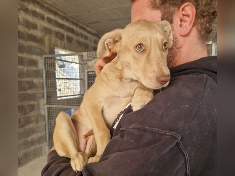 TEYA will gefördert werden