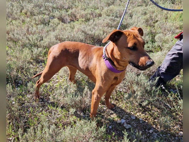 EMINA ist intelligent und lernwillig