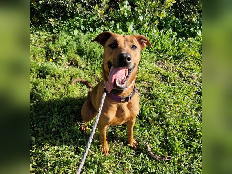 EMINA ist intelligent und lernwillig