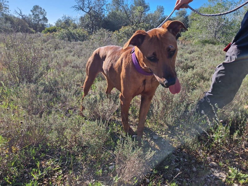 EMINA ist intelligent und lernwillig