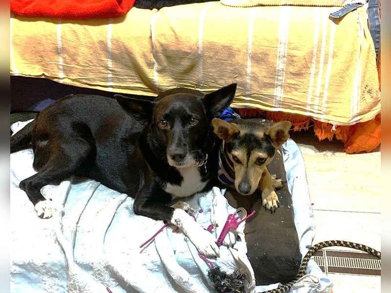 KIKO ist einfach perfekt