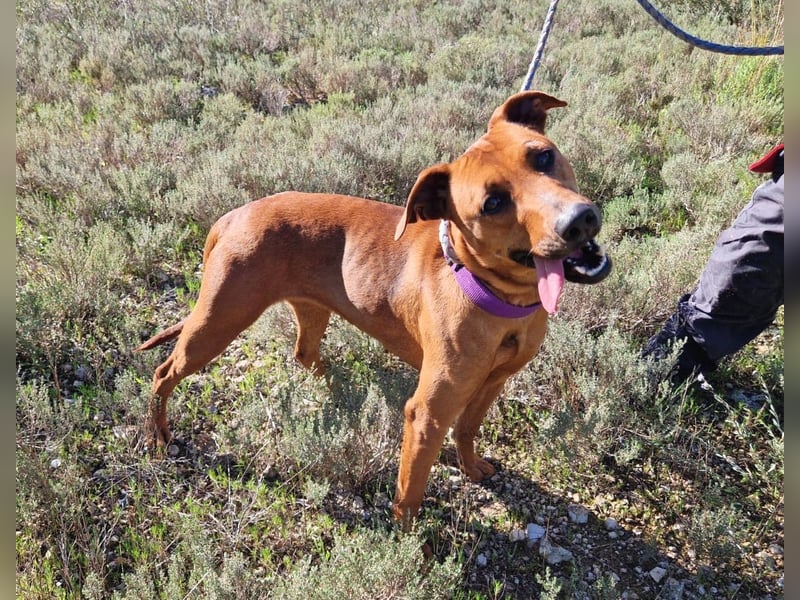 EMINA ist intelligent und lernwillig