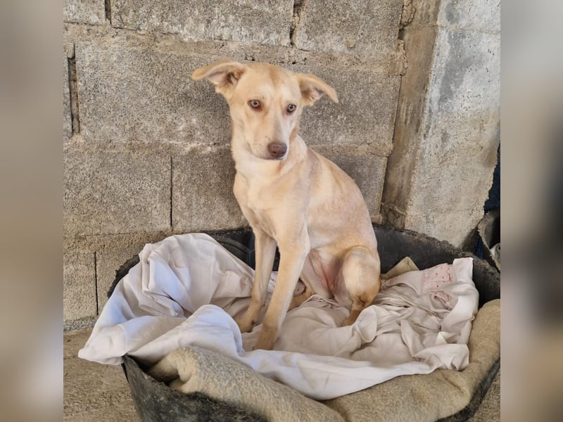 TEYA will gefördert werden