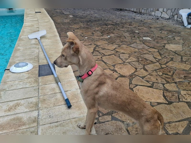 TEYA will gefördert werden