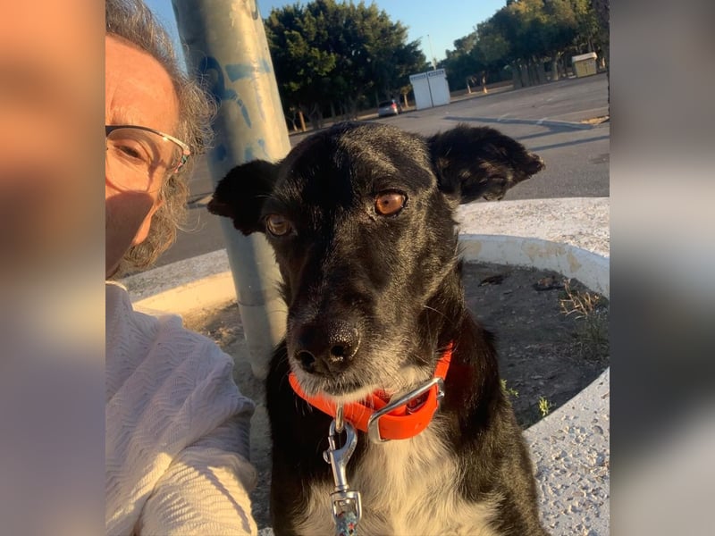 KIKO ist einfach perfekt