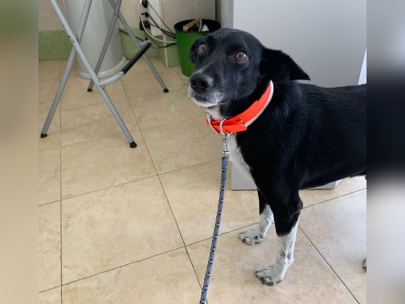 KIKO ist einfach perfekt