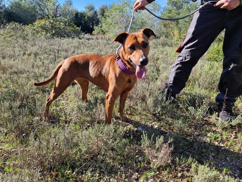 EMINA ist intelligent und lernwillig