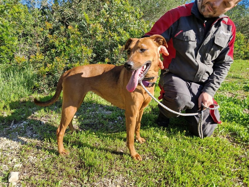 EMINA ist intelligent und lernwillig