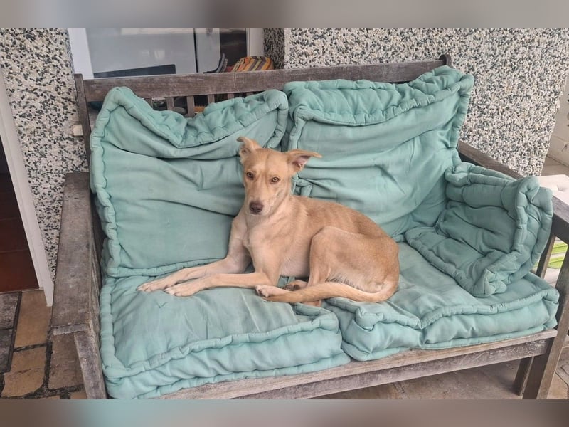 TEYA will gefördert werden