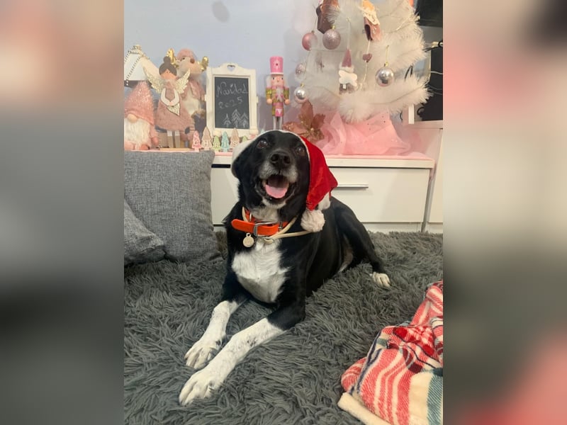 KIKO ist einfach perfekt