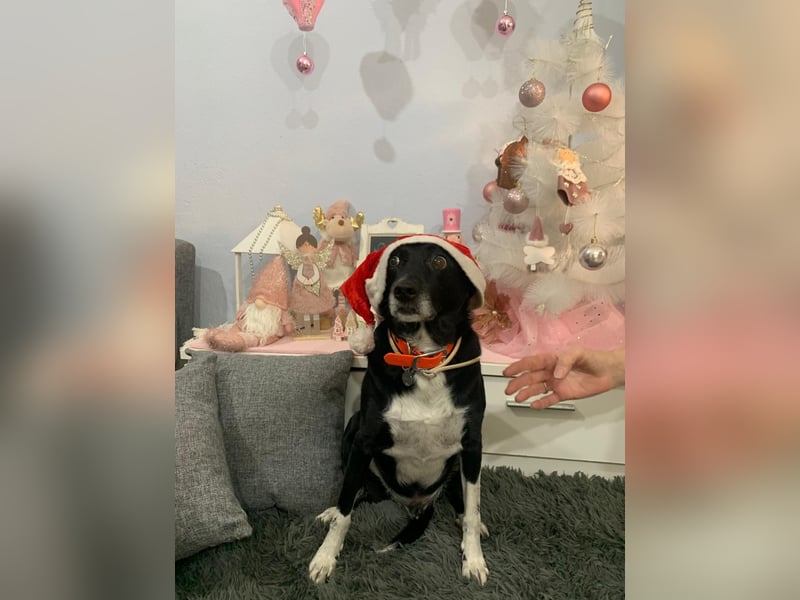 KIKO ist einfach perfekt