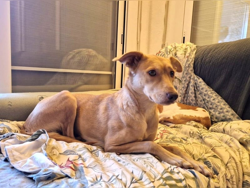 TEYA will gefördert werden