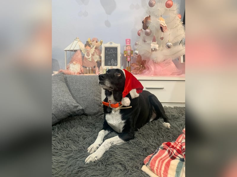 KIKO ist einfach perfekt