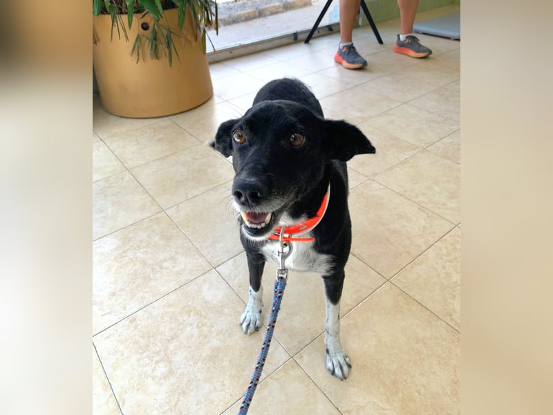 KIKO ist einfach perfekt