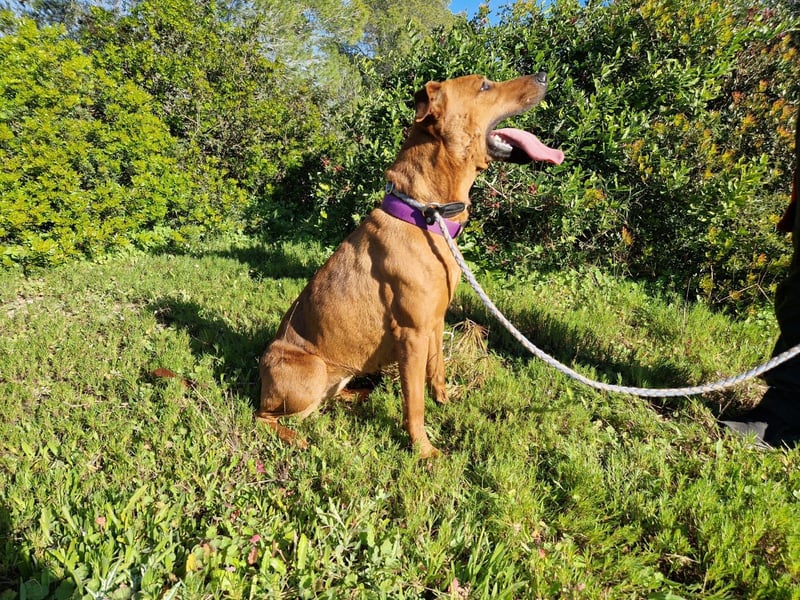 EMINA ist intelligent und lernwillig