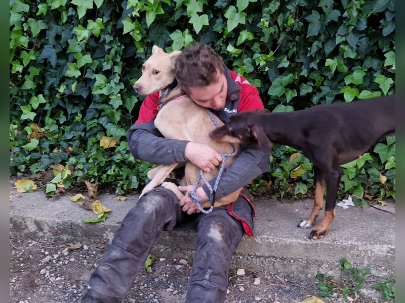 TEYA will gefördert werden