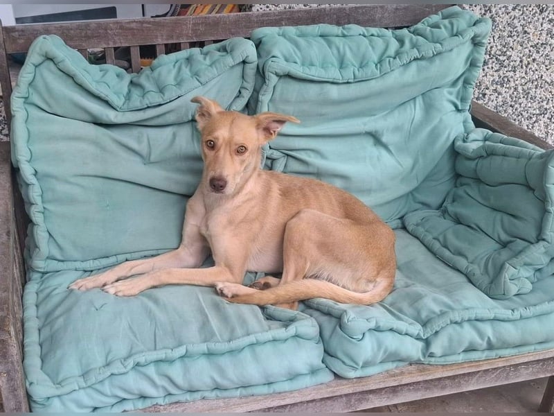 TEYA will gefördert werden