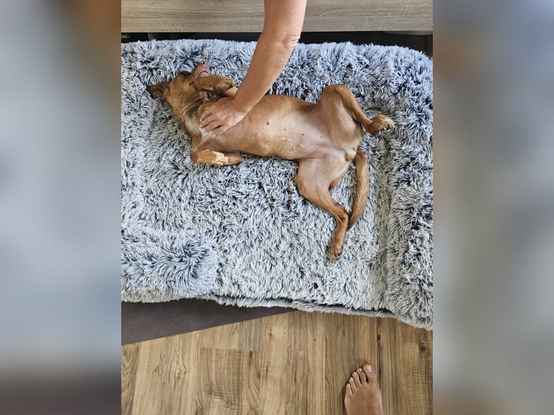 Entspannte Carol wartet auf ihre Menschen