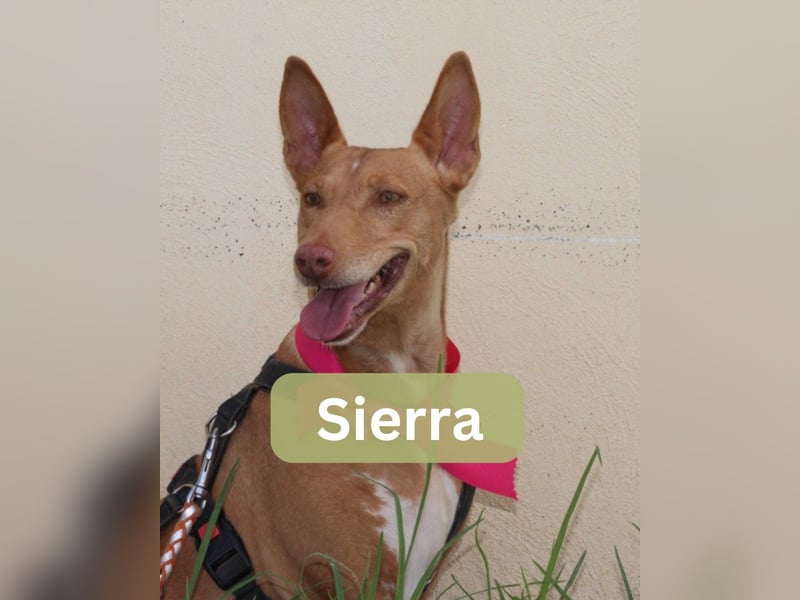 SIERRA