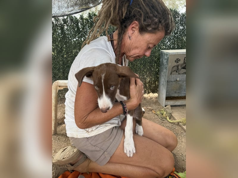 RUBY sucht ihre Familie