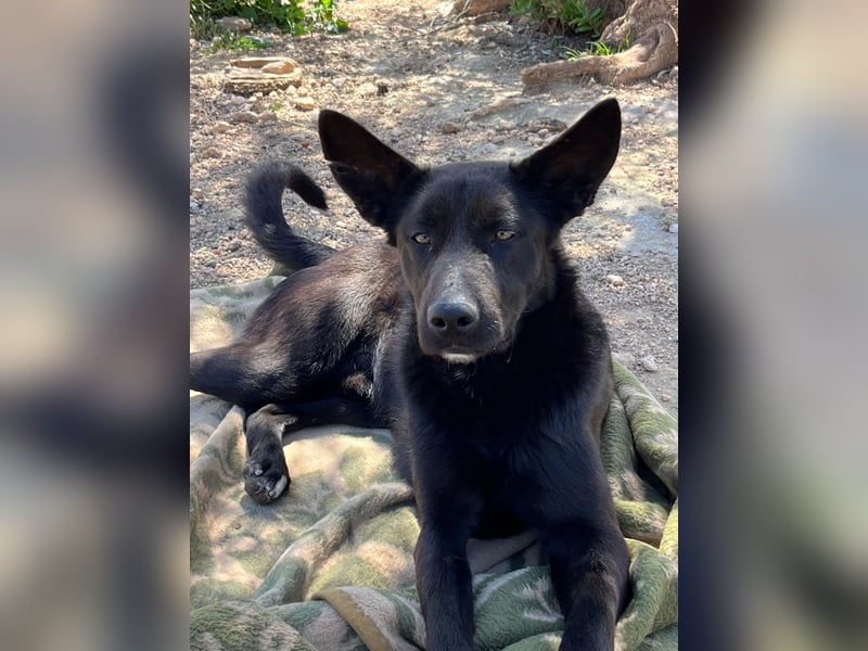 Unser Young Star TONI