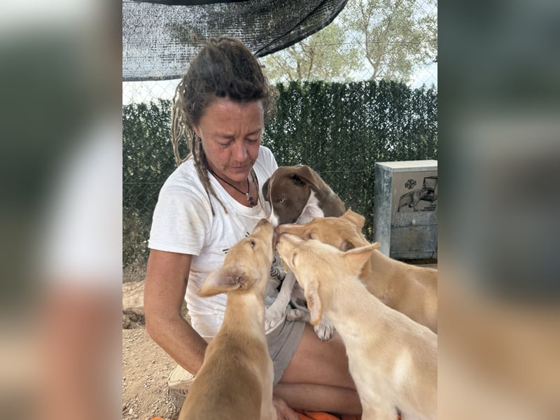 RUBY sucht ihre Familie