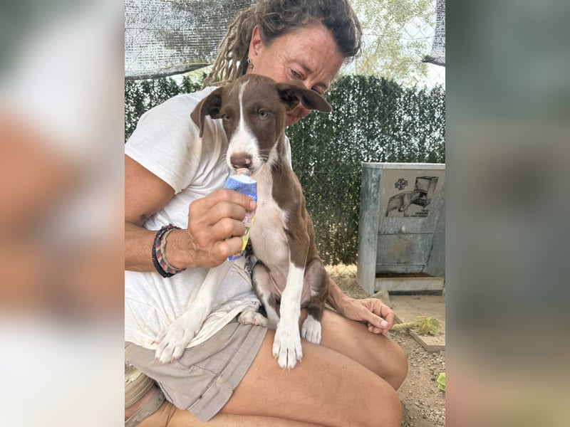 RUBY sucht ihre Familie
