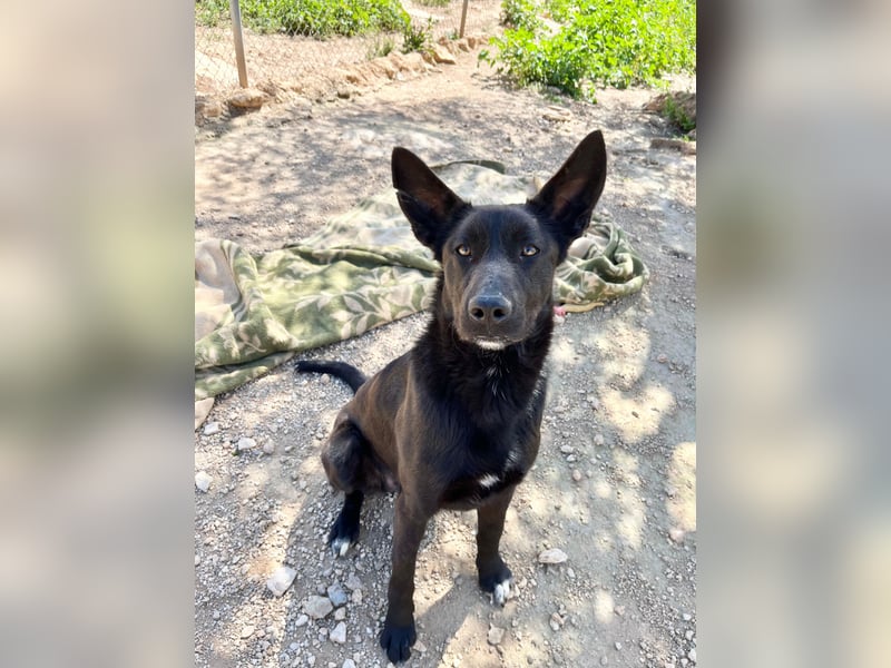 Unser Young Star TONI