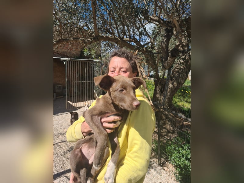 Muss Georg alleine im Tierheim zurück bleiben ?