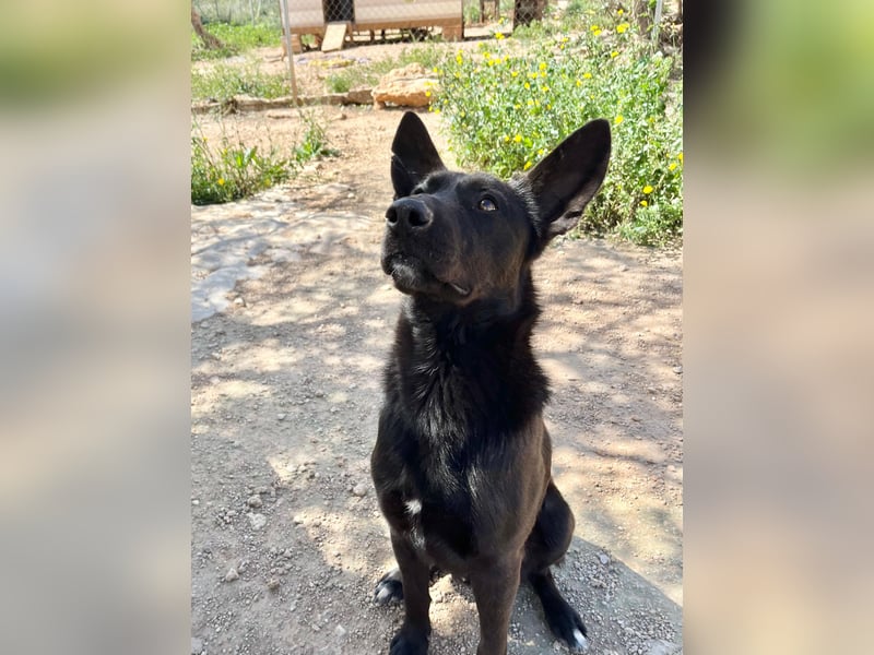 Unser Young Star TONI