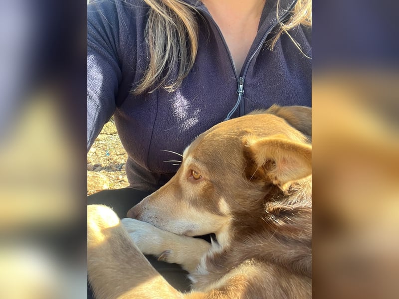 fröhlicher freundlicher agiler JACO