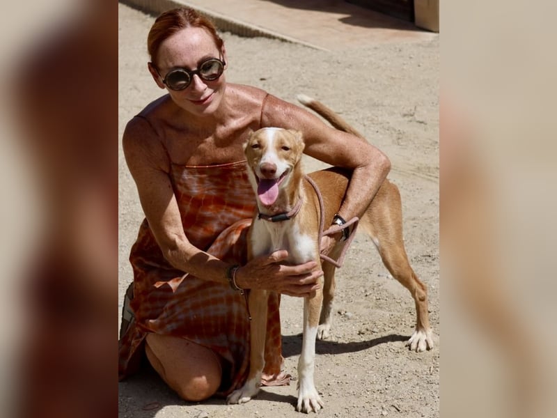 Rood - freundlich, aufgeschlossen und neugierig