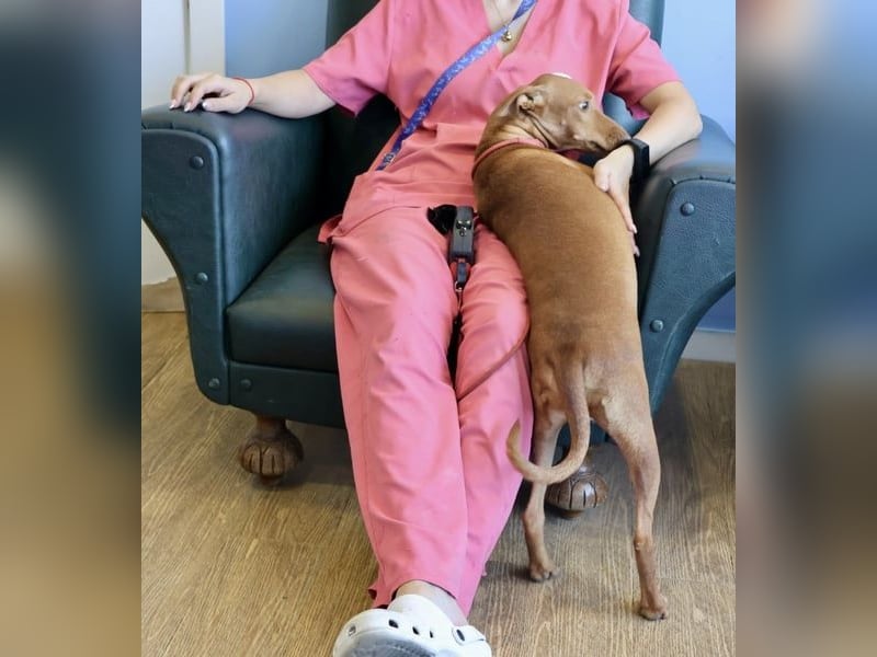 Florinda, freundlich, verspielt, neugierig, bereits in Deutschland